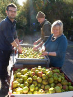 Juicing workday Oct  2012_015_1.JPG